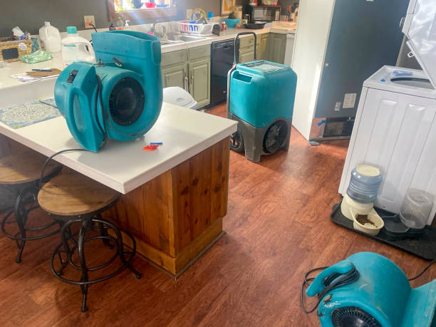 Best Commercial water damage restoration  in Tinton Falls, NJ