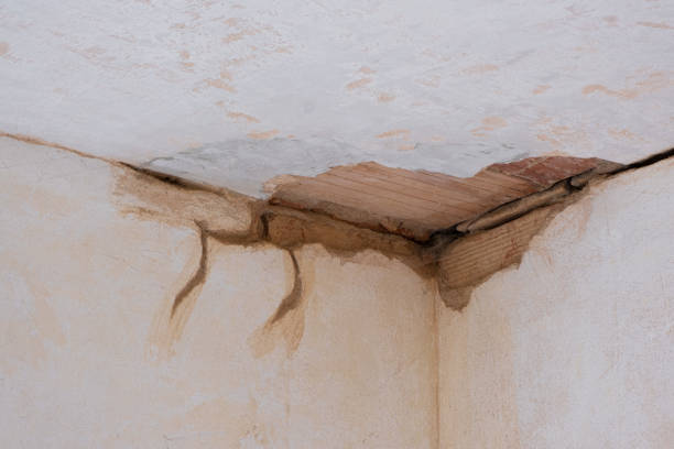 Best Water damage restoration services  in Tinton Falls, NJ