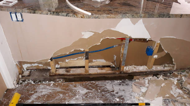 Best Carpet water damage restoration  in Tinton Falls, NJ
