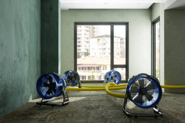 Best Basement water damage restoration  in Tinton Falls, NJ